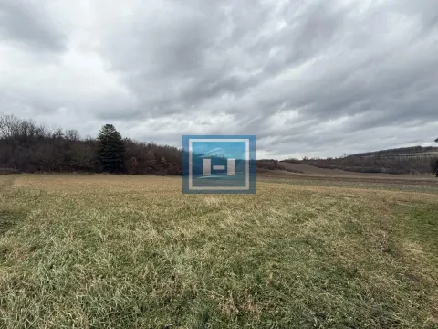 Sale, house, 214m², Glavinci, Jagodina - image 16