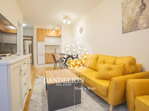 Izdavanje, jednosoban stan, 40m², Central Point, Podgorica - image 2