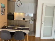 Izdavanje, jednosoban stan, 50m², Central Point, Podgorica - image 2