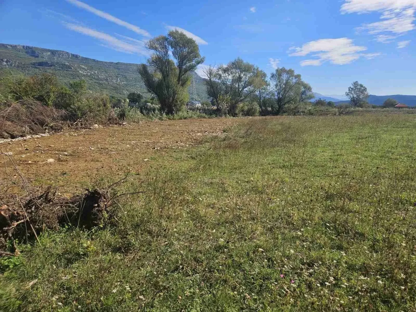 Pogled na prostrano zemljište sa rastinjem i drvećem u pozadini.