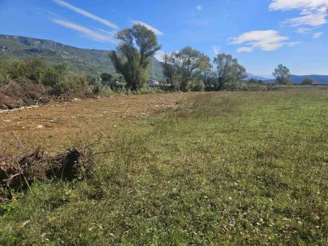 Pogled na prostrano zemljište sa rastinjem i drvećem u pozadini. - image 2