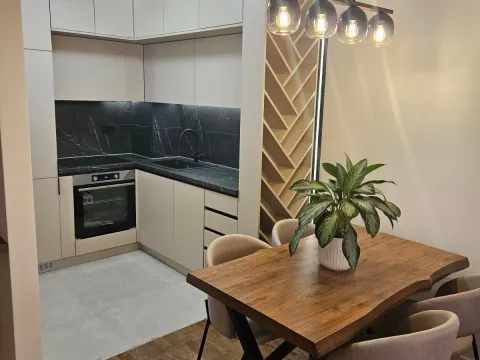 Izdavanje, jednosoban stan, 46m², Stari Aerodrom, Podgorica - image 11