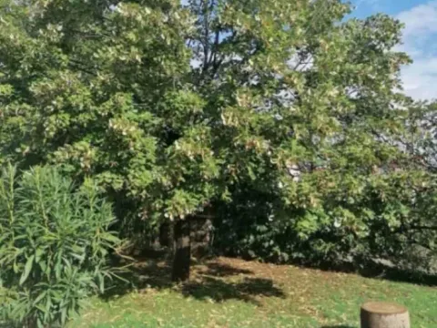 Izdavanje, kuća, 350m², Donja Gorica, Podgorica - image 10