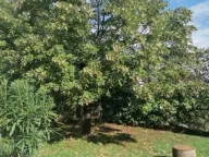 Rent, house, 350m², Donja Gorica, Podgorica - image 10