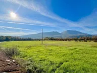 Prodaja, plac, 22000m², Danilovgrad, Crna Gora - image 2