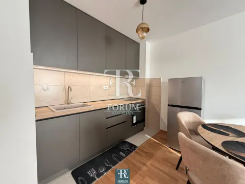 Izdavanje, jednosoban stan, 40m², Stari Aerodrom, Podgorica - image 5