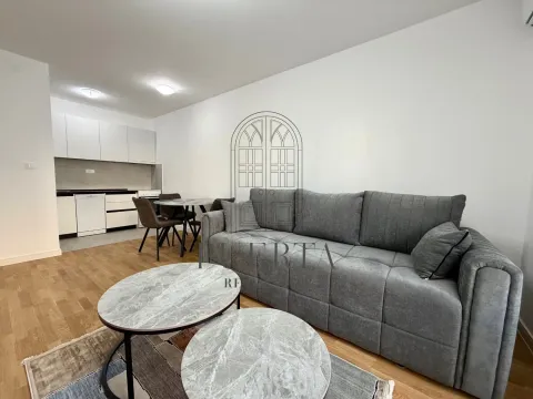 Rent, one bedroom apartment, 42m², Stari Aerodrom, Podgorica - image 2