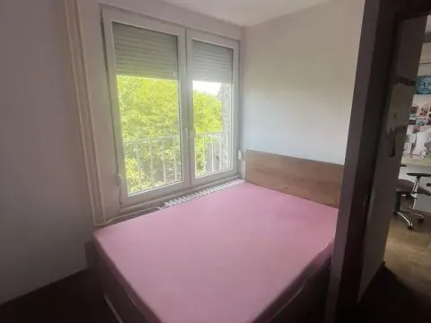 Rent, two bedroom apartment, 40m², Retenzija, Beograd - image 6