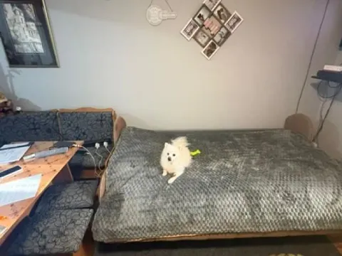 Sale, house, 38m², Hadzipopovac, Palilula Sve Podlokacije - image 28