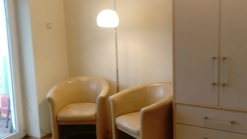 Izdavanje, dvosoban stan, 49m², Dedinje Sve Podlokacije, Beograd