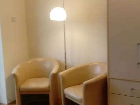 Izdavanje, dvosoban stan, 49m², Dedinje Sve Podlokacije, Beograd - image 8