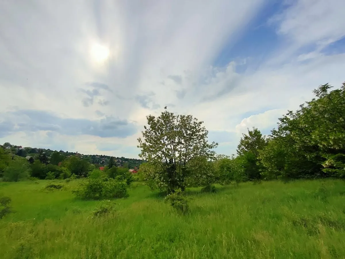 Prodaja, plac, 5000m², Ledinci, Petrovaradin