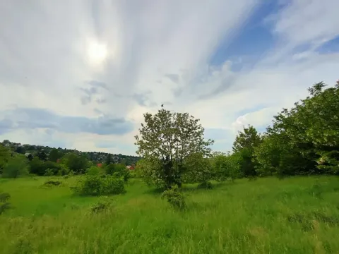 Sale, land lot, 5000m², Ledinci, Petrovaradin - image 5