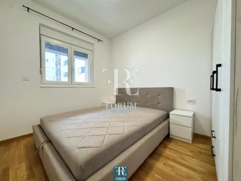 Izdavanje, jednosoban stan, 50m², Stari Aerodrom, Podgorica - image 9