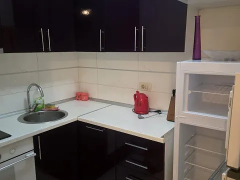 Rent, house, 25m², Zabjelo, Podgorica - image 7