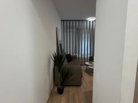 Rent, apartment, 38m², Momišići, Podgorica - image 9