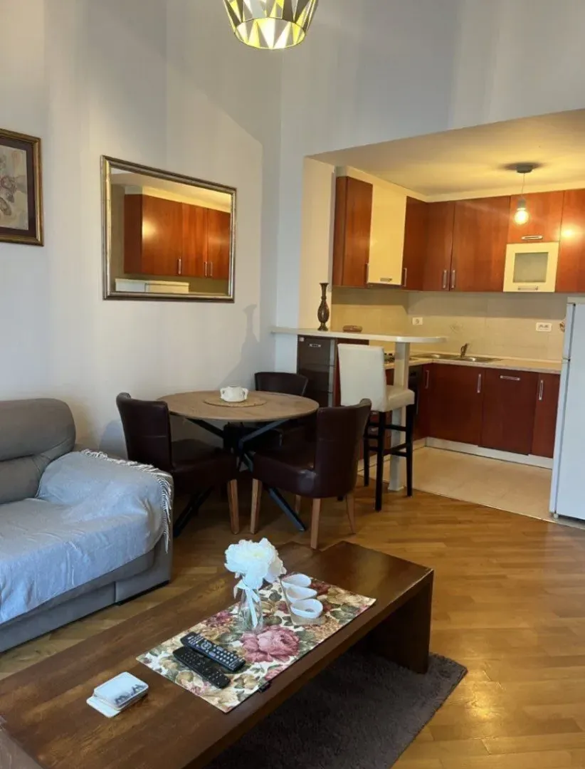 Rent, one bedroom apartment, 47m², Preko Morače, Podgorica