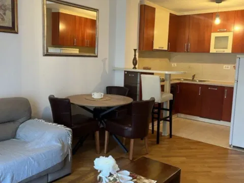 Izdavanje, jednosoban stan, 47m², Preko Morače, Podgorica - image 2