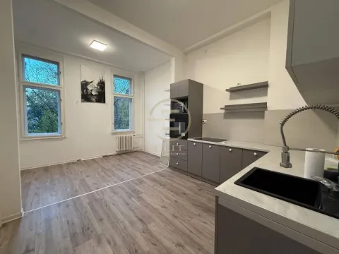 Izdavanje, trosoban stan, 136m², Kej, Novi Sad Sve Podlokacije - image 11