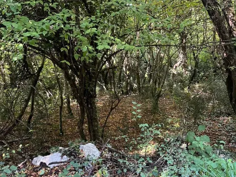 Prodaja, plac, 47894m², Danilovgrad, Crna Gora - image 2