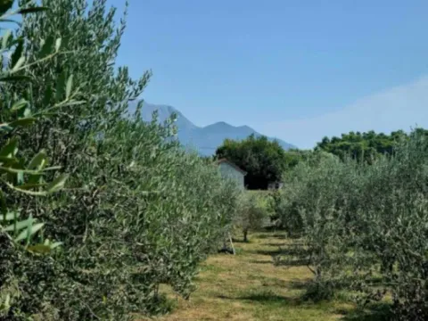 Izdavanje, kuća, 50m², Tivat, Crna Gora - image 10