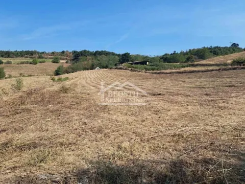 Prodaja, plac, 6600m², Vrčin, Grocka - image 2