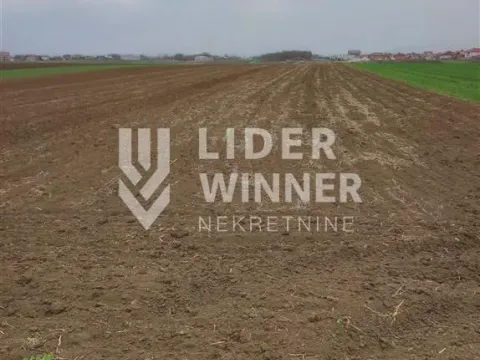 Prodaja, plac, 13600m², Surčin, Beograd - image 4