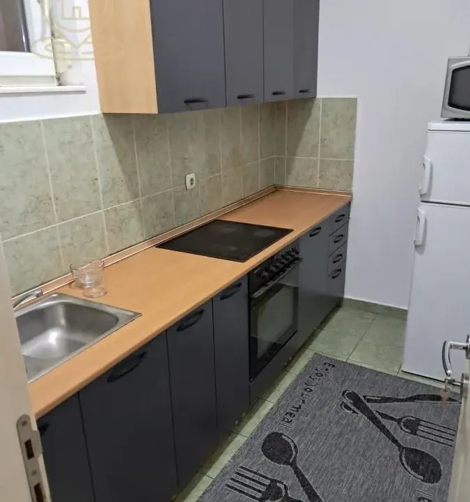 Izdavanje, dvosoban stan, 50m², Sajmište, Novi Sad