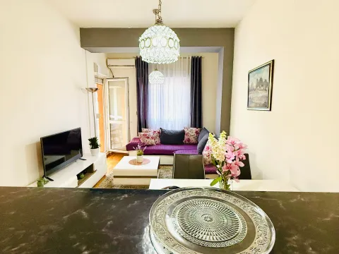 Izdavanje, jednosoban stan, 42m², Ljubović, Podgorica - image 7