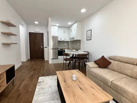Rent, one bedroom apartment, 46m², Stari Aerodrom, Podgorica - image 4