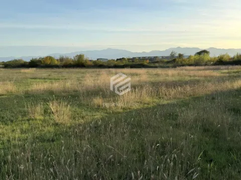 Prodaja, stan, 4929m², Golubac, Srbija - image 2
