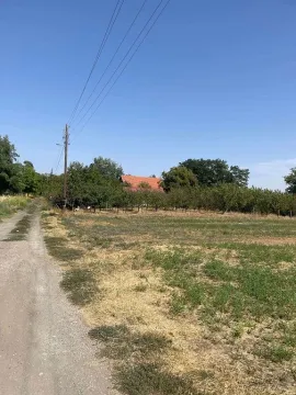 Seosko imanje sa livadom i voćnjakom pored zemljanog puta. - image 5