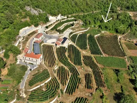 Prodaja, plac, 4400m², Cetinje, Crna Gora - image 2