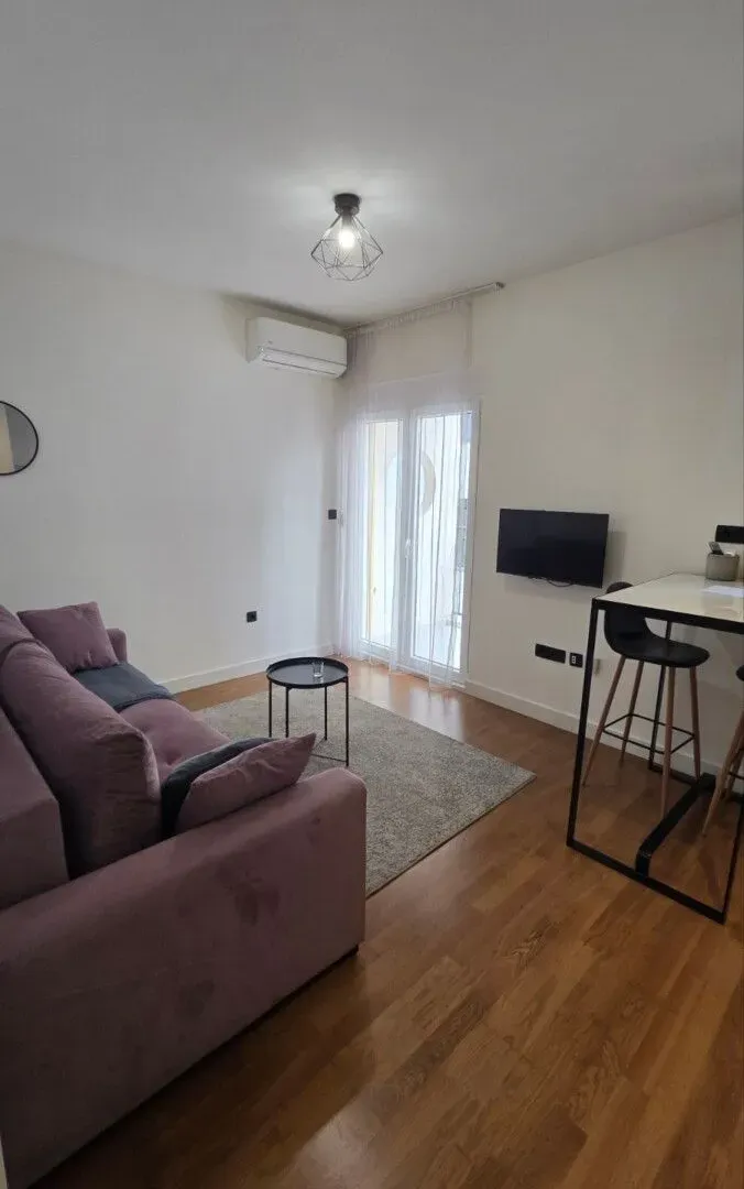 Rent, one bedroom apartment, 24m², Zagorič, Podgorica