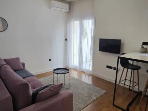 Izdavanje, jednosoban stan, 24m², Zagorič, Podgorica - image 8