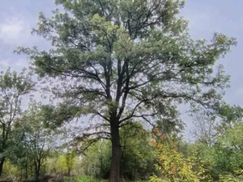 Prodaja, trosoban stan, 128m², Virovac, Mionica - image 7