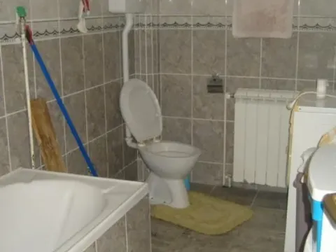 Prodaja, kuća, 360m², Tabane, Jagodina - image 2