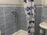 Izdavanje, garsonjera, 24m², Adamovićevo Naselje, Novi Sad Sve Podlokacije - image 10