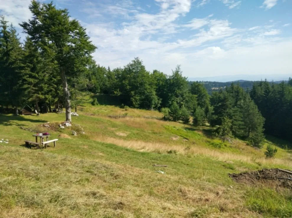 Prodaja, plac, 7000m², Tara, Srbija