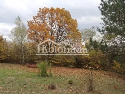 Sale, house, 250m², Babe, Sopot - image 19