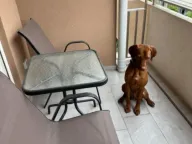 Izdavanje, jednosoban stan, 51m², Central Point, Podgorica - image 2