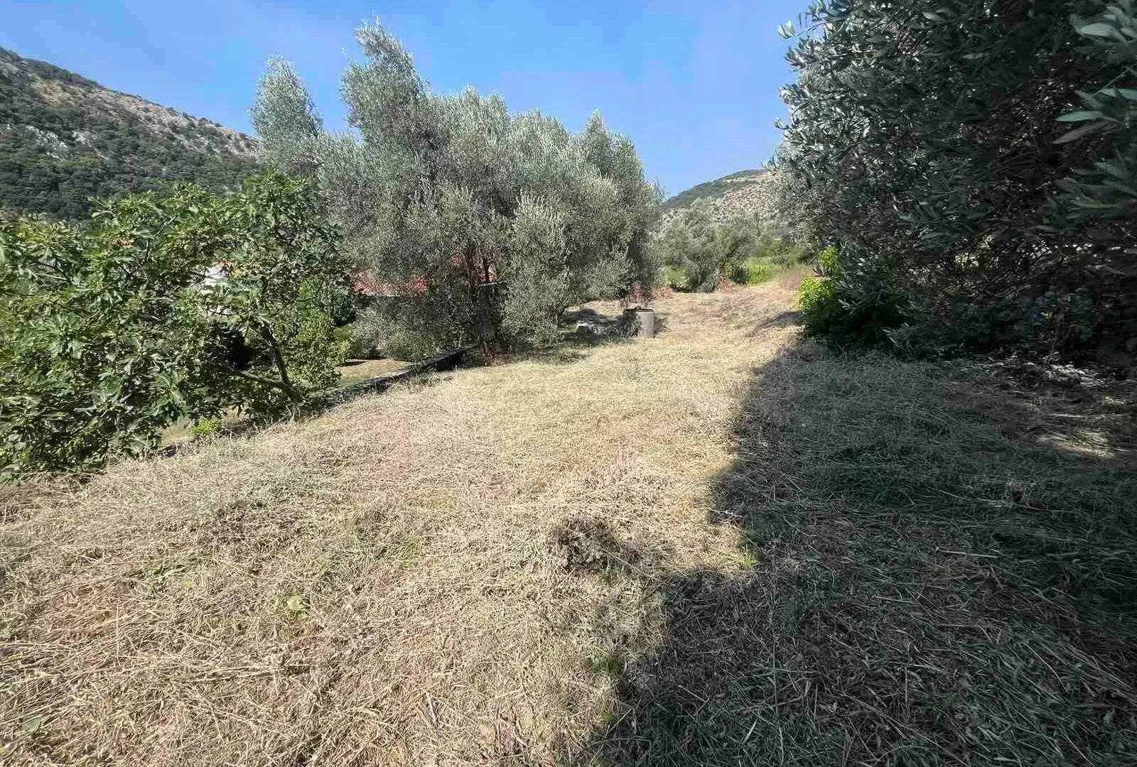 Prodaja, plac, 464m², Budva, Crna Gora