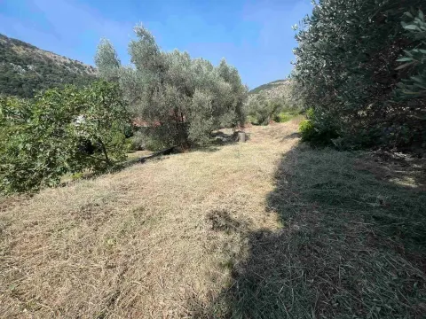 Prodaja, plac, 464m², Budva, Crna Gora - image 3