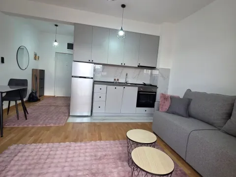 Rent, apartment, 33m², Zabjelo, Podgorica - image 2