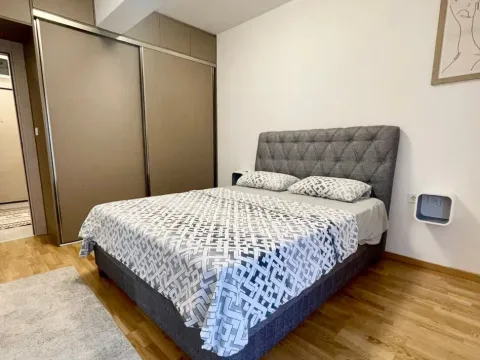 Rent, one bedroom apartment, 46m², Stara Varoš, Podgorica - image 3