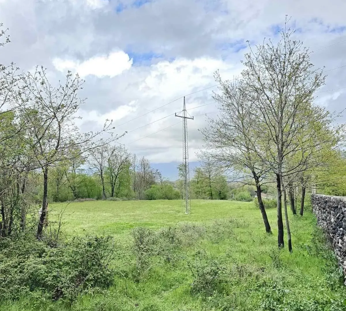 Prodaja, plac, 2993m², Danilovgrad, Crna Gora
