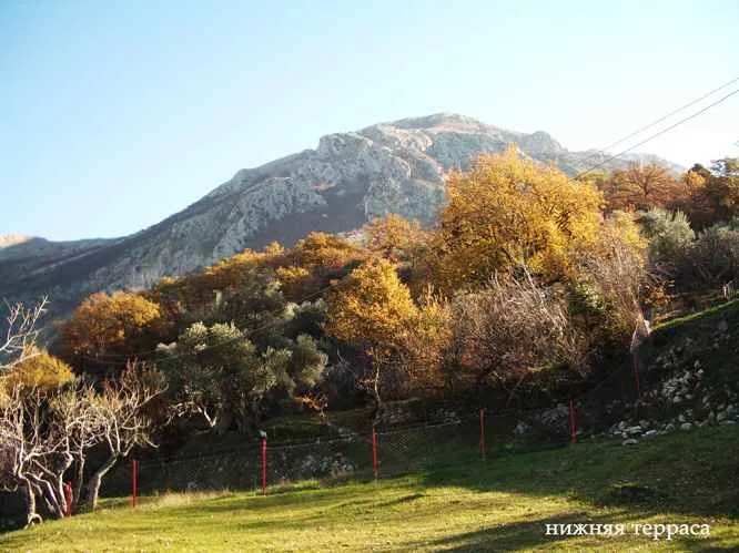 Pogled na planinu i okolno zelenilo sa imanja.