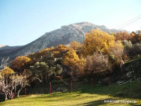 Pogled na planinu i okolno zelenilo sa imanja. - image 2