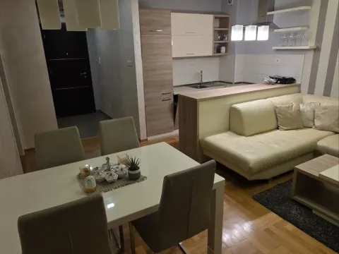 Izdavanje, jednosoban stan, 50m², Ljubović, Podgorica - image 4