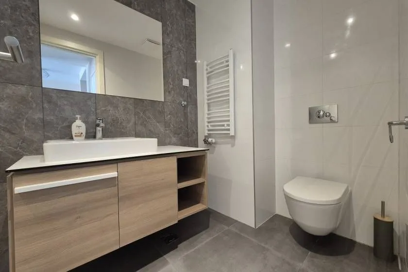 Izdavanje, dvosoban stan, 53m², Beograd Na Vodi, Beograd